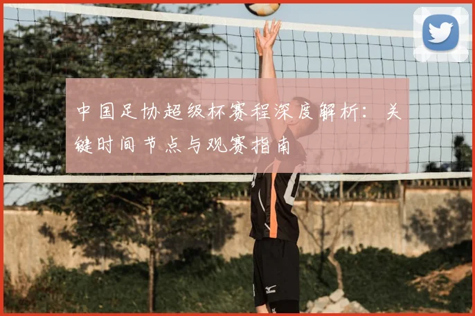 中国足协超级杯赛程深度解析：关键时间节点与观赛指南