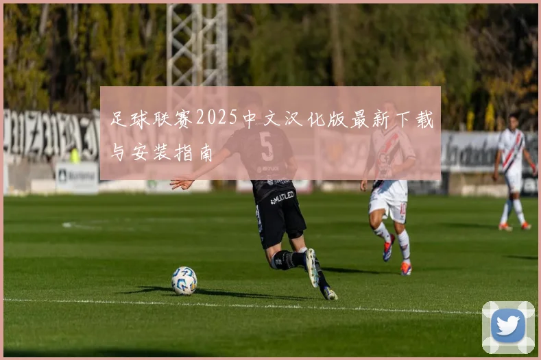 足球联赛2025中文汉化版最新下载与安装指南