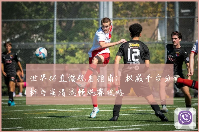 世界杯直播观看指南：权威平台分析与高清流畅观赛攻略