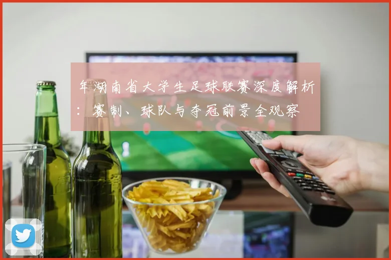 年湖南省大学生足球联赛深度解析：赛制、球队与夺冠前景全观察